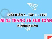 Giải bài 12 trang 56 Toán 8 Tập 1 SGK Chân trời sáng tạo